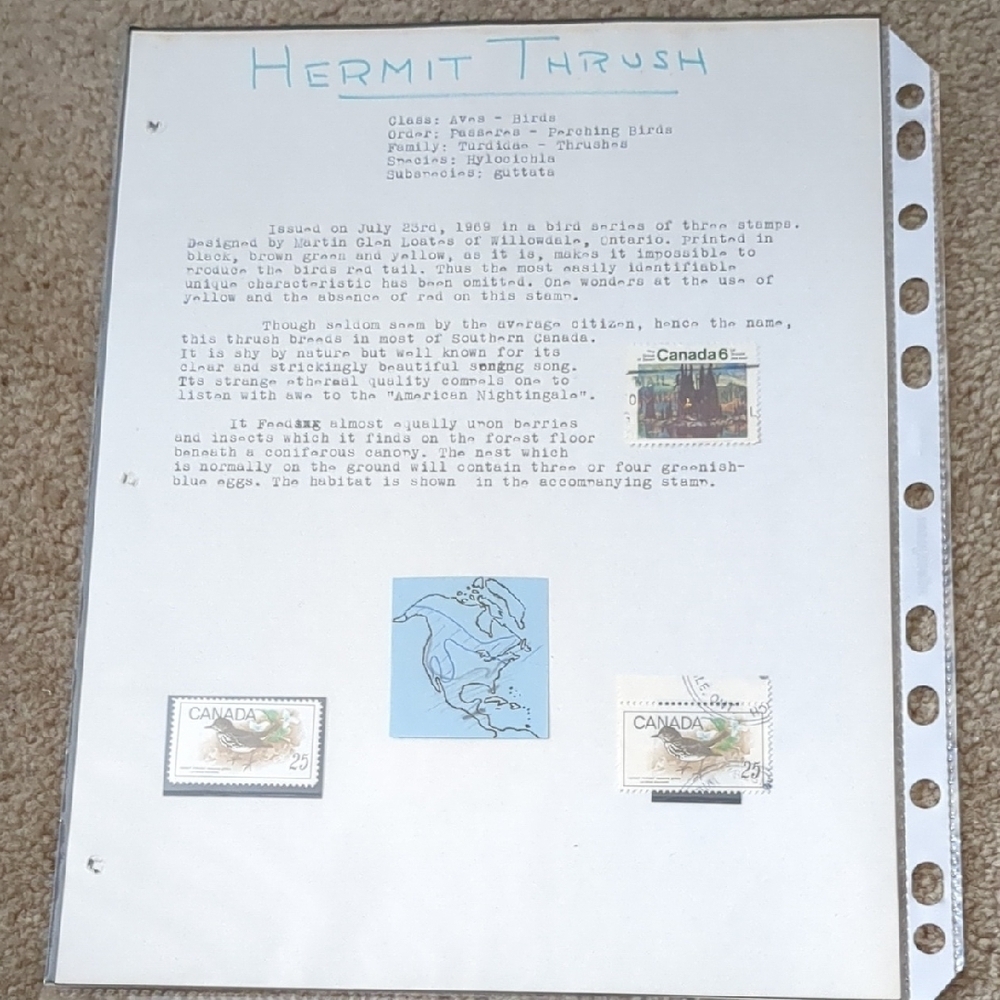 Hermit Thrush Home Design Stamp Set